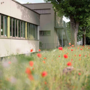 Carl-Benz-Gesamtschule, Wörth