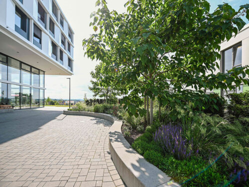 122-2025-LOEWEL-SLP GUKK-min-1107_1000x750_01