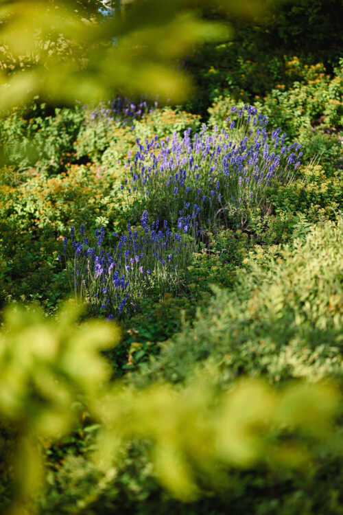 147-2025-LOEWEL-SLP GUKK-min-1139_1000x1500_08