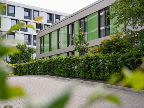 34-2025-LOEWEL-SLP GUKK-min-1026_1000x70_03