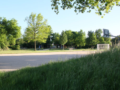 498_IMG_4870_1000x750